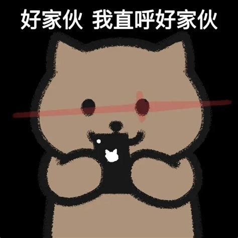 一猫人|分享一些一猫人的表情包